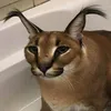 kacpeyluuzn