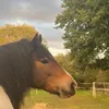denny_schleich23