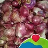 faridsaja5