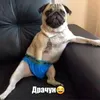 ghjdbxjdbdbdjbf