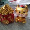 zhenzhen6997