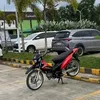 rexy_0.7