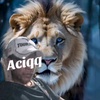 aciqq.ps