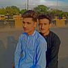 shena442