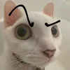 moots_do.shrek