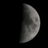 mr_xavix