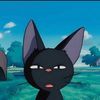ooo_jj111