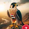 betterhadidi