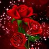 user61572638304971