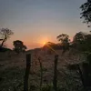 osbaldo_503