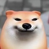 justaeggdoge