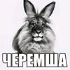 aaaaaaa_aaafaa