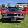 mustangandyp