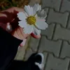 19_b6__