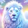 user6753829122345