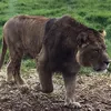 urjdshfeeuwbgs