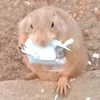 dathoaimoiduoc