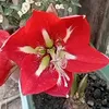 valeria.da.concei92