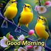 vani_4350