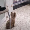 jmcg_111