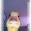 anonimoxd471
