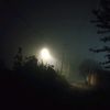 nolose_824589