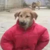 alex_jhgt