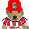 derekjavier45