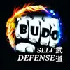 BUDO SELF DEFENSE