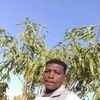user8324868271231