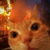 user422281626117