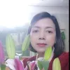 giadungphamyenhp