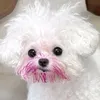 chikipook125