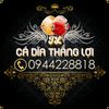 Cá Dĩa Thắng Lợi