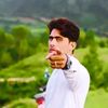 zulfiqar__roghany