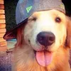 leoo.uu_