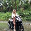 neslet66