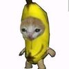 user1818261498552