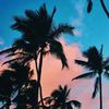aashazqygf4