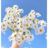 gialinh_180621