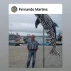 fernandomartinsma73