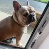georgia_cummins19