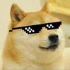 dogedogeno.3000