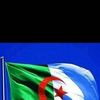 user9552995984365