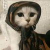 tasnim_hn0