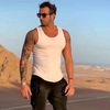 mottoelsayed88