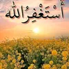 user3685302613978