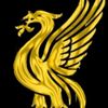 zulkiflymohamad4