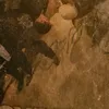 milfoi3