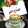 user6762018126368